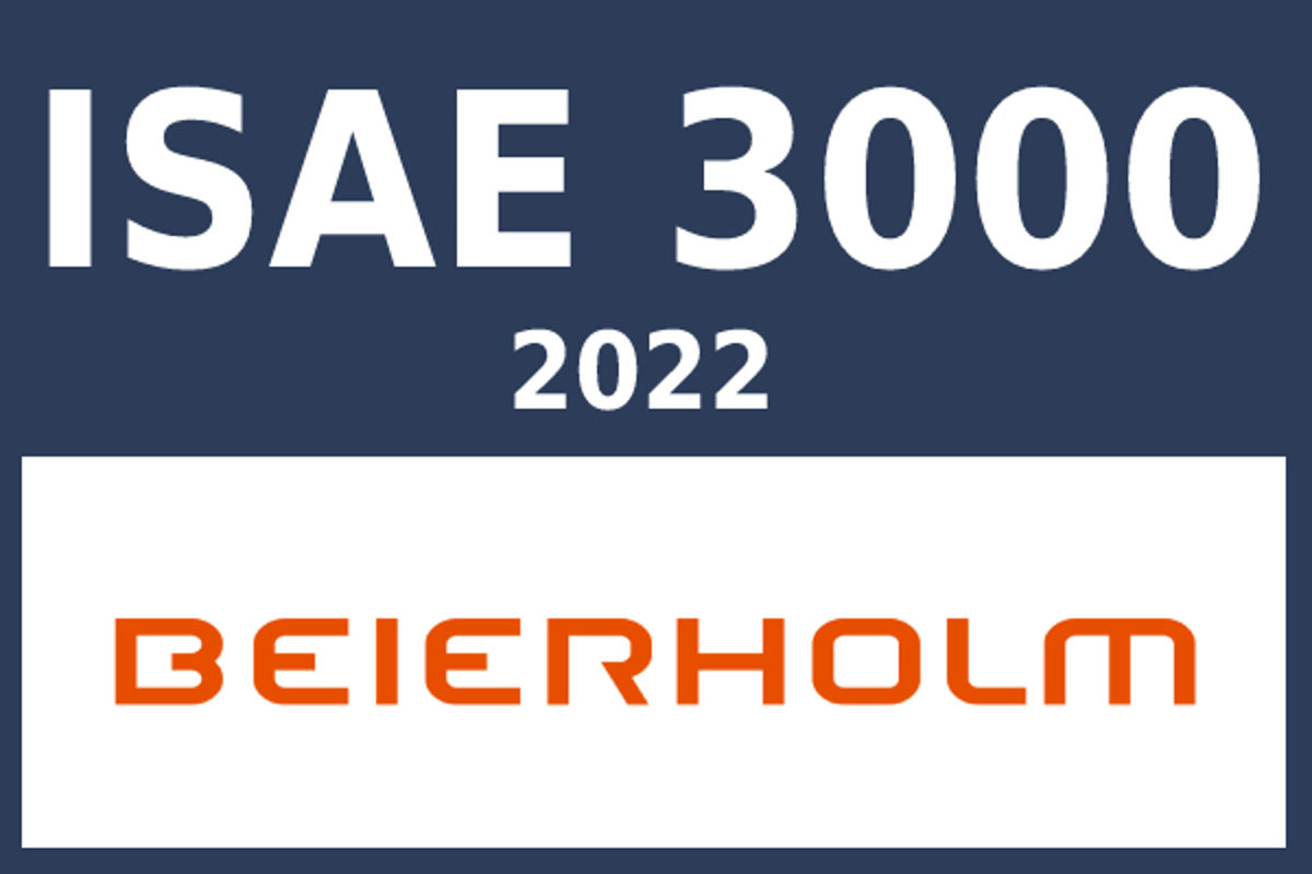 Isae3000